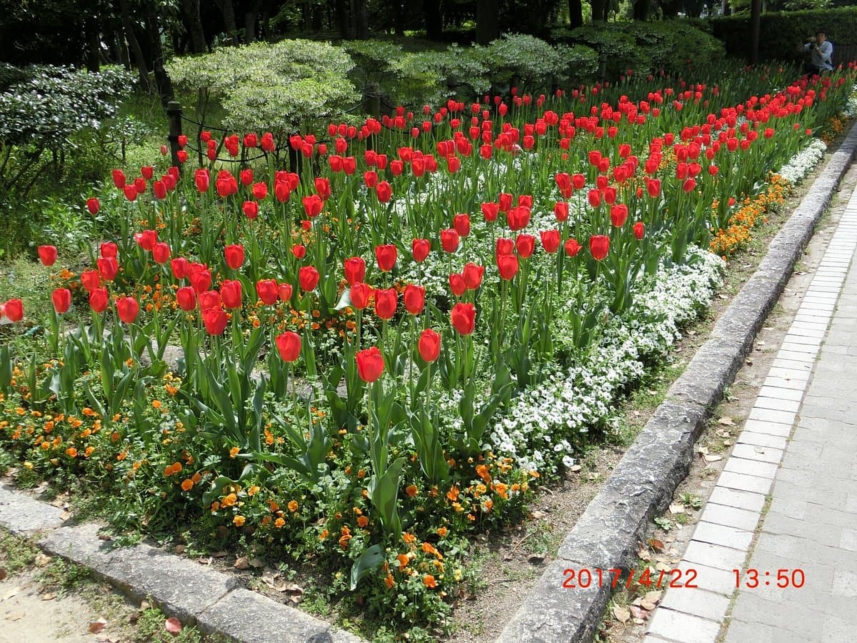 Kamisakabenishi Park