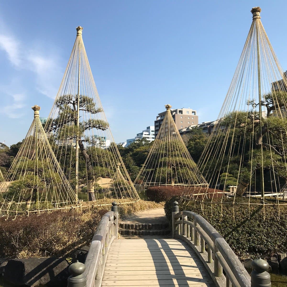 Makuhari Kaihin Park cover image