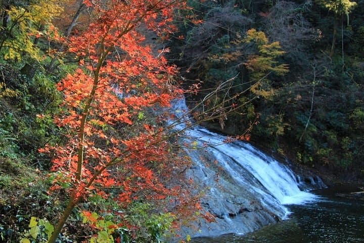 Awamatanotaki Waterfall cover image