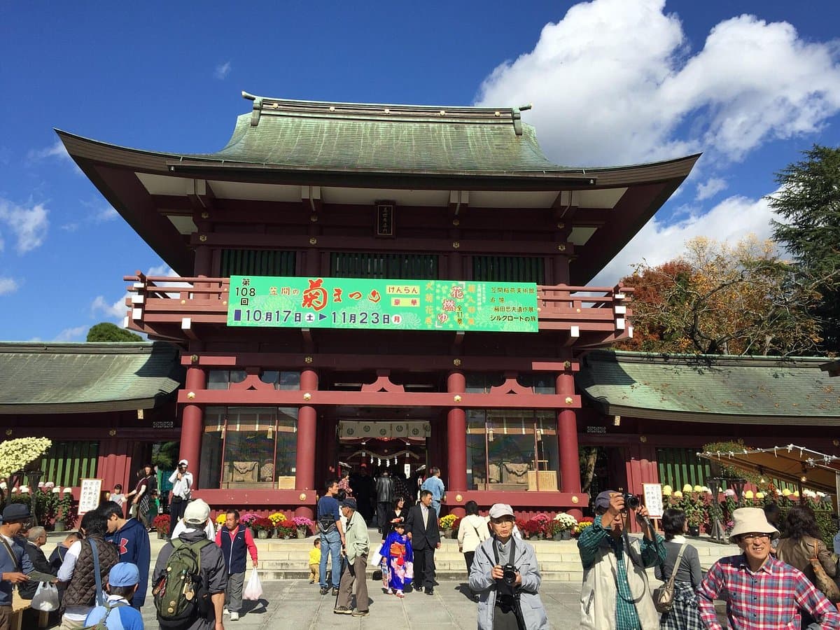 Kasama Chrysanthemum Festival cover image