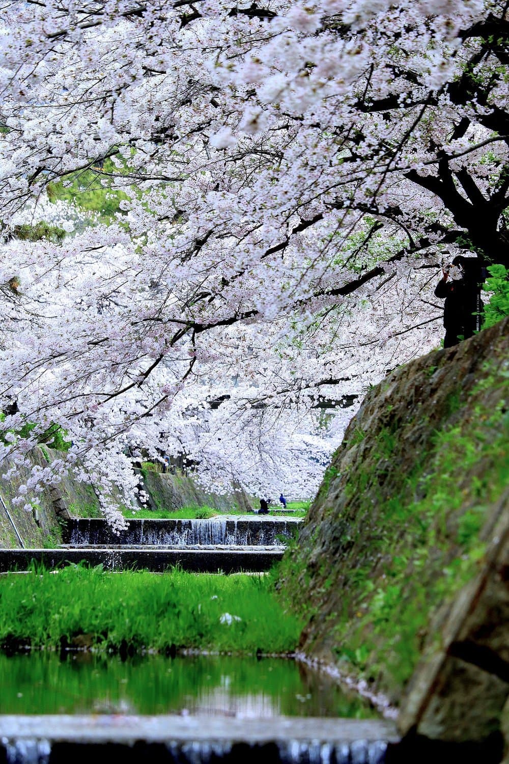 Shukugawa Park cover image