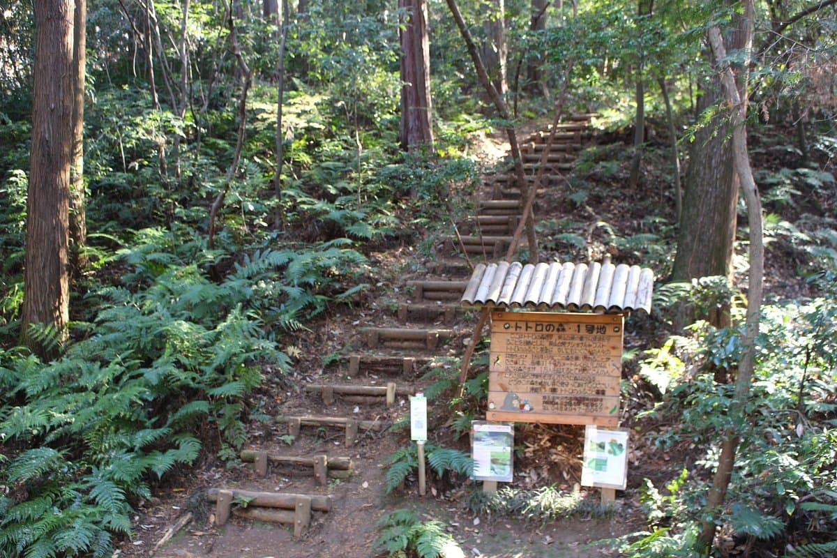 Totoro Forest