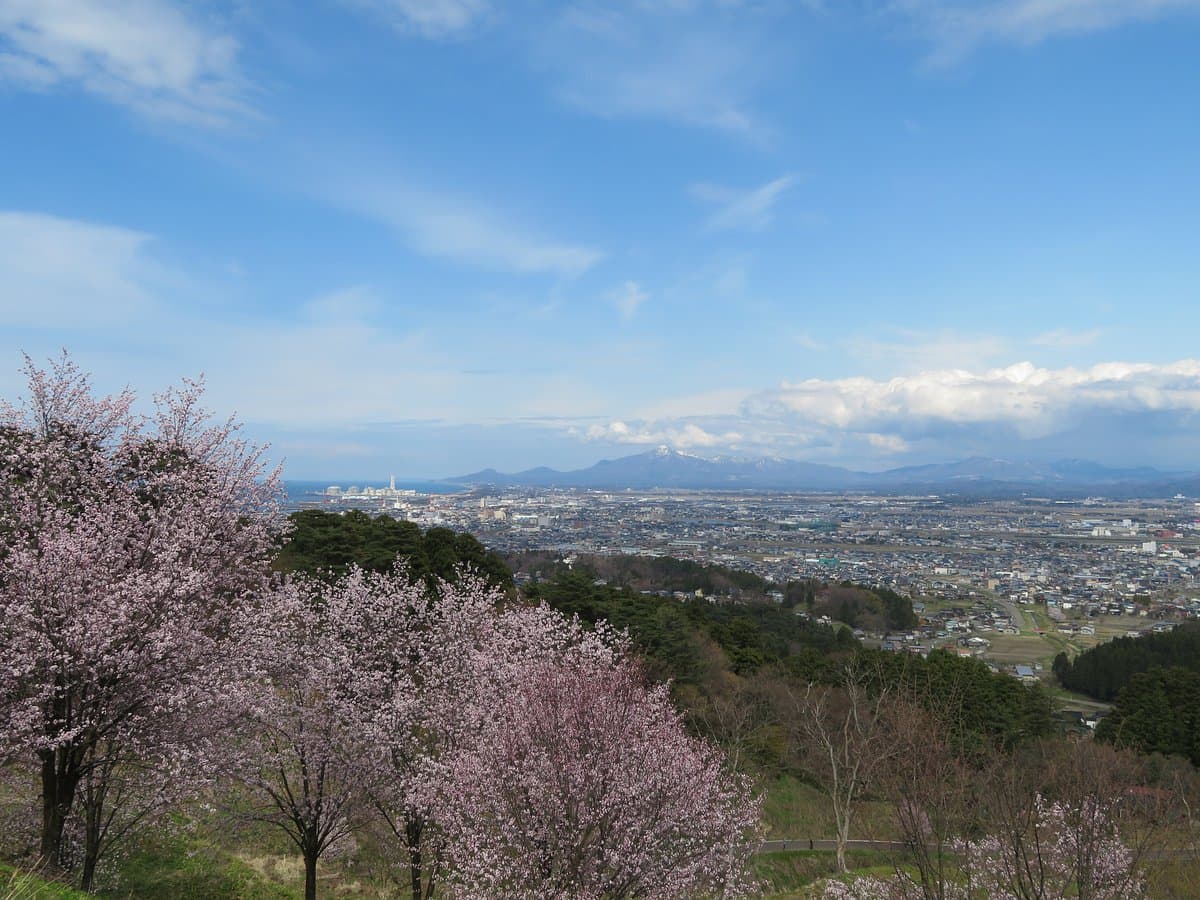 Kasugayama Castle Ruins cover image
