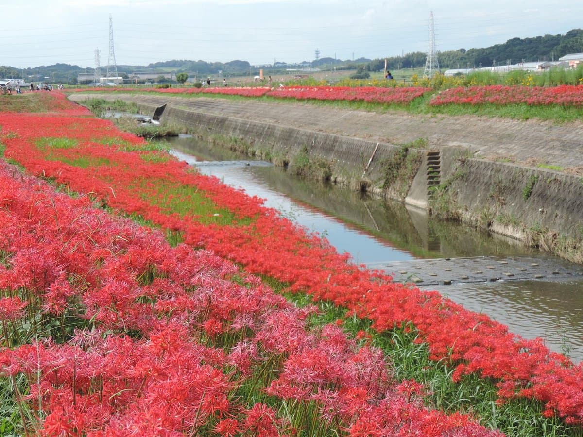 Niimi Nankichi Memorial Museum
