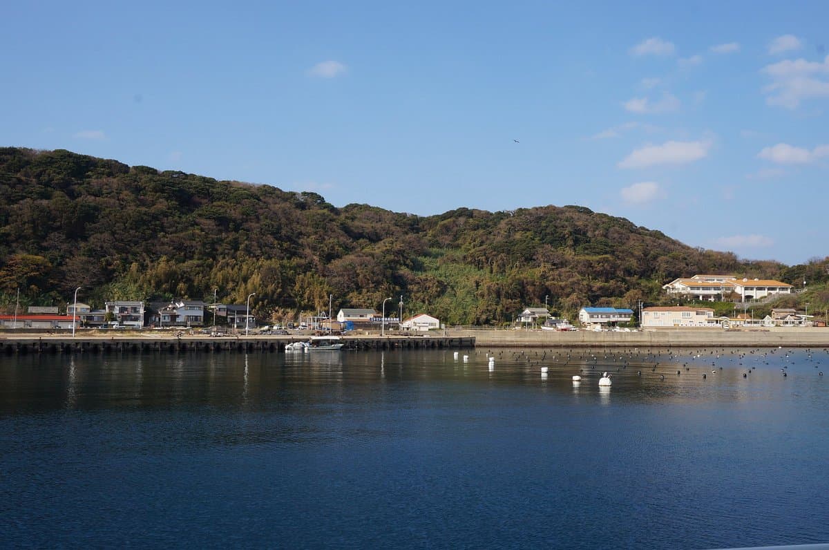 Ainoshima Island cover image