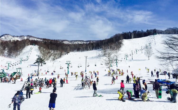 Minakami Kogen Fujiwara ski resort cover image