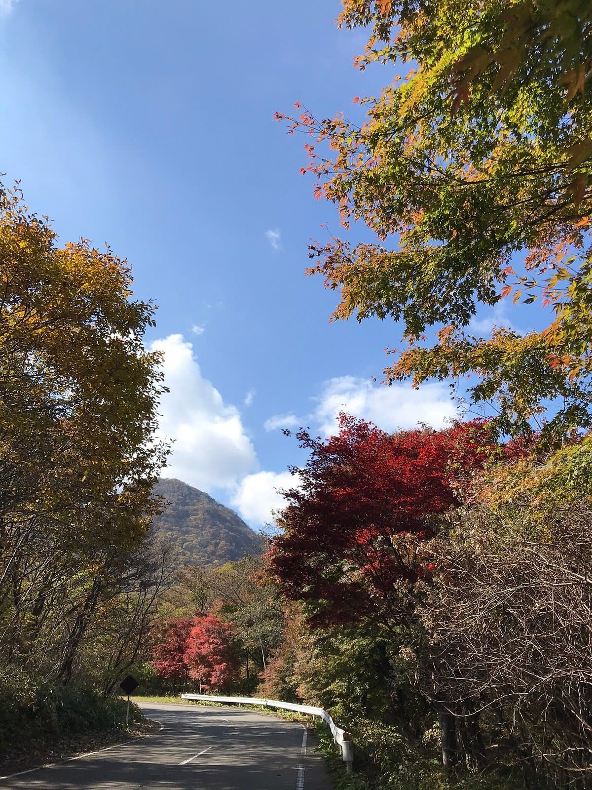 Ikaho Shinrin Park cover image