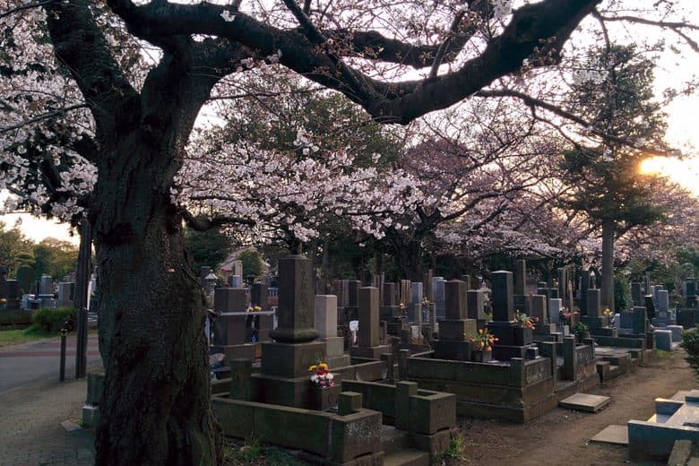 Yanaka Cemetery