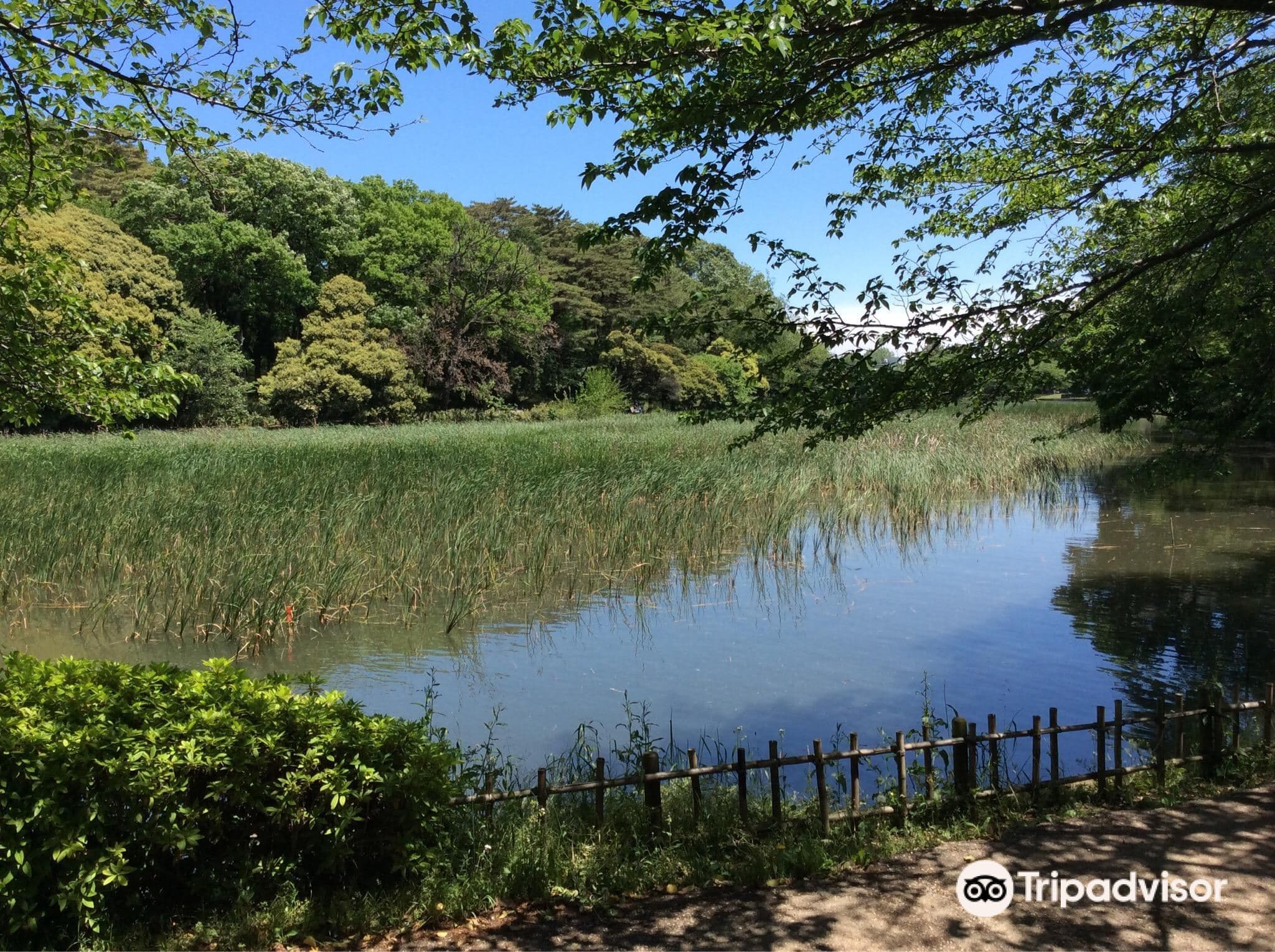 Omiya Park