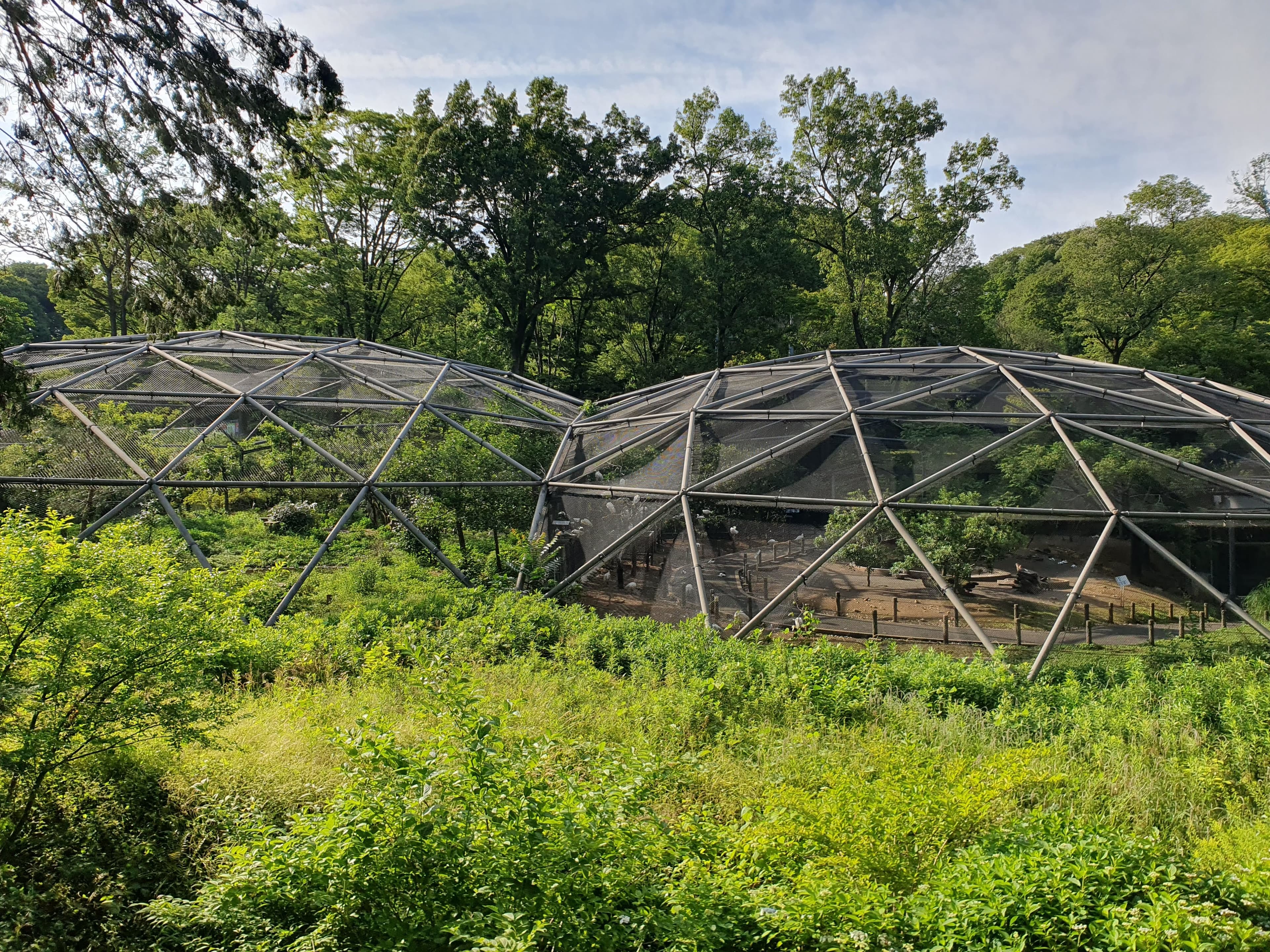 Tama Zoological Park cover image