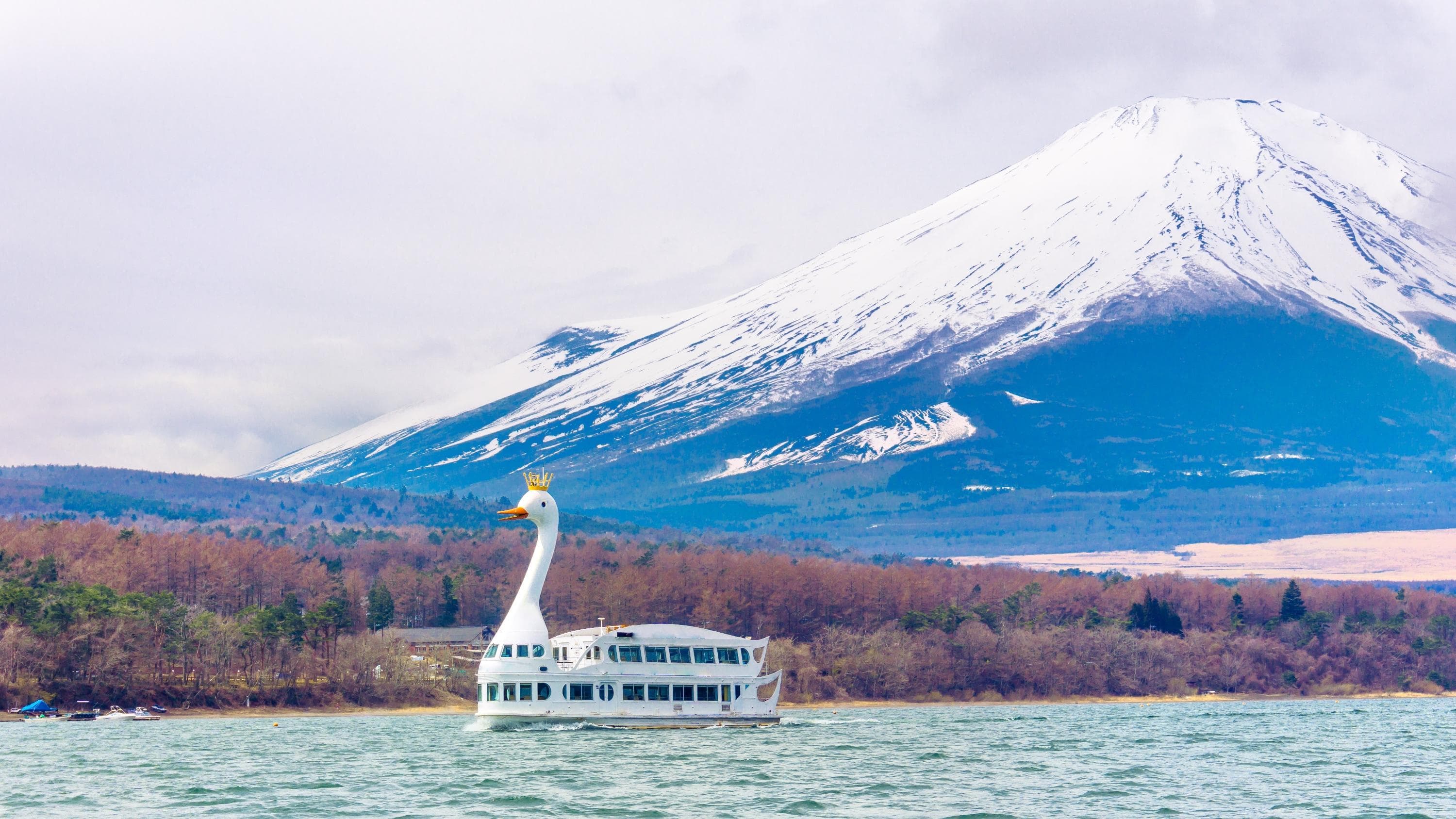 Yamanakako Tourist Boat cover image