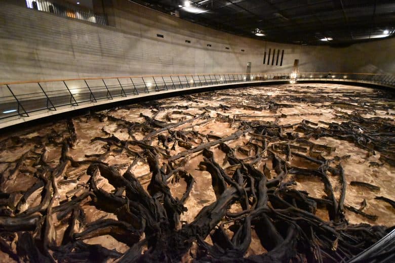 Tomizawa Site (Underground Forest Museum)