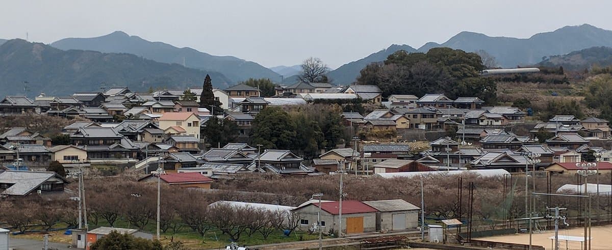 Minabe Plum Forest
