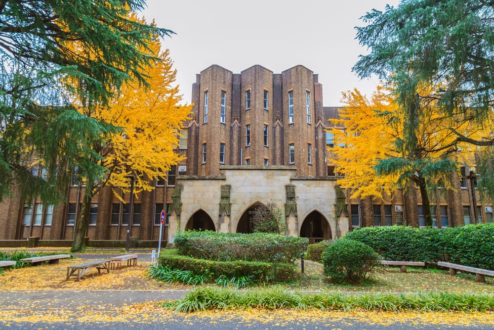 The University of Tokyo