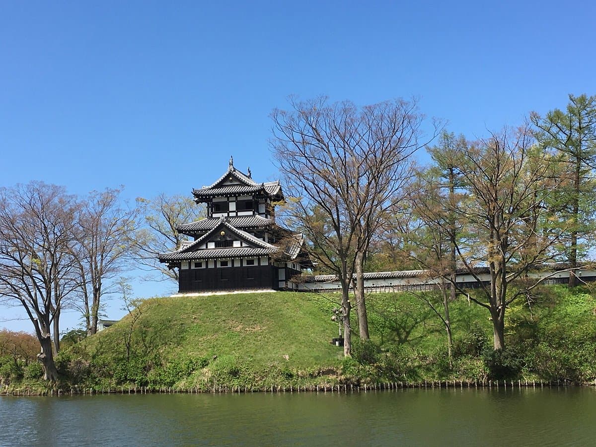 Takada Castle cover image