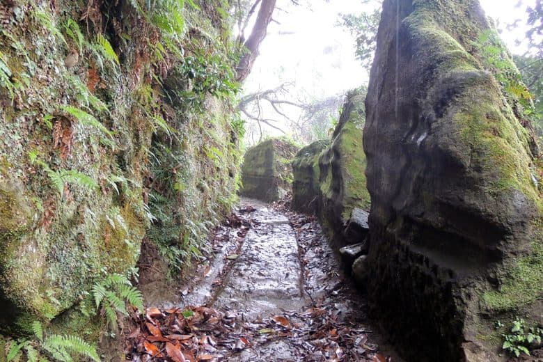 Mount Nokogiri (Saw Mountain) cover image