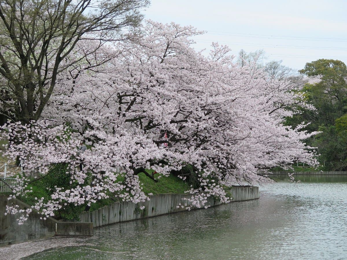 Oike Park