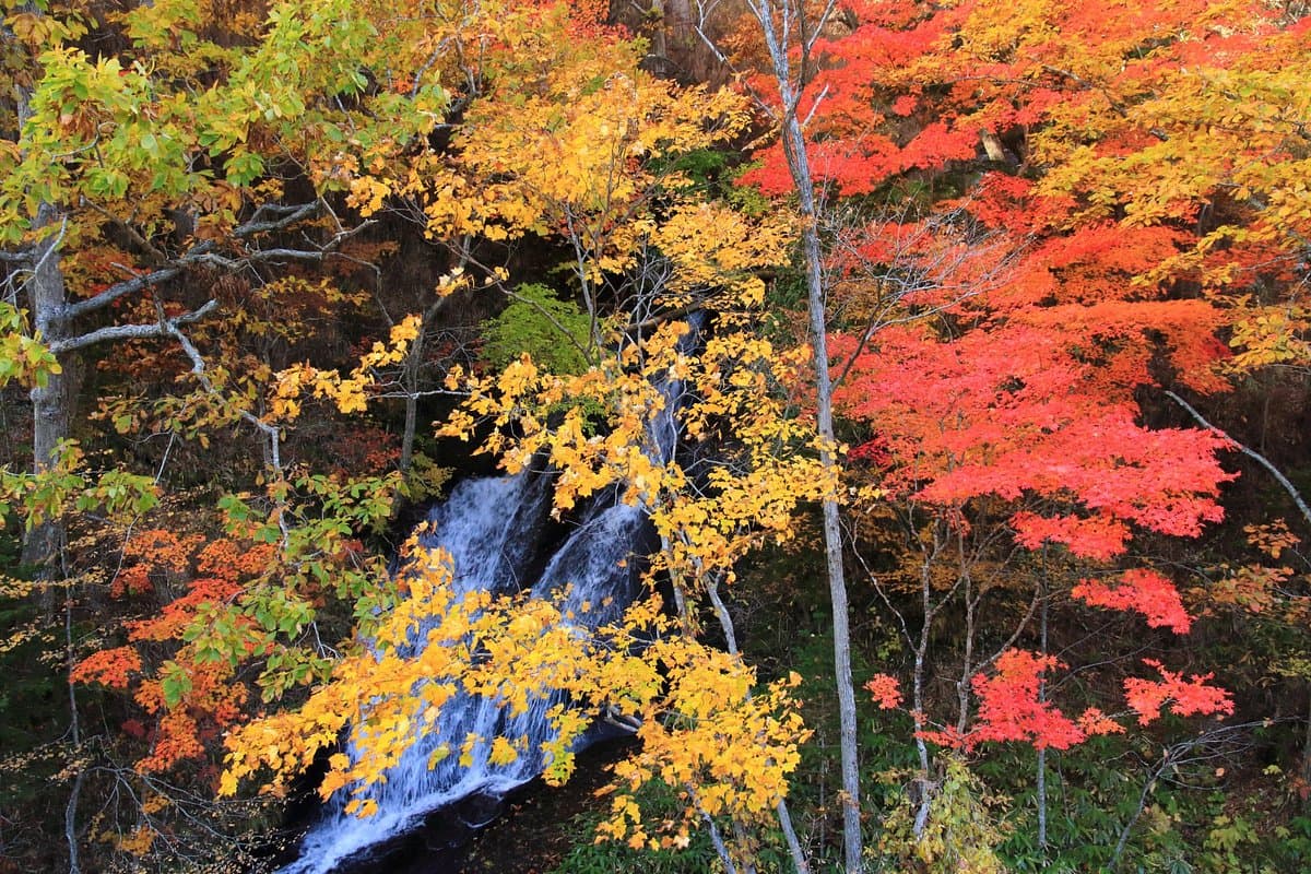 Eniwa Valley cover image