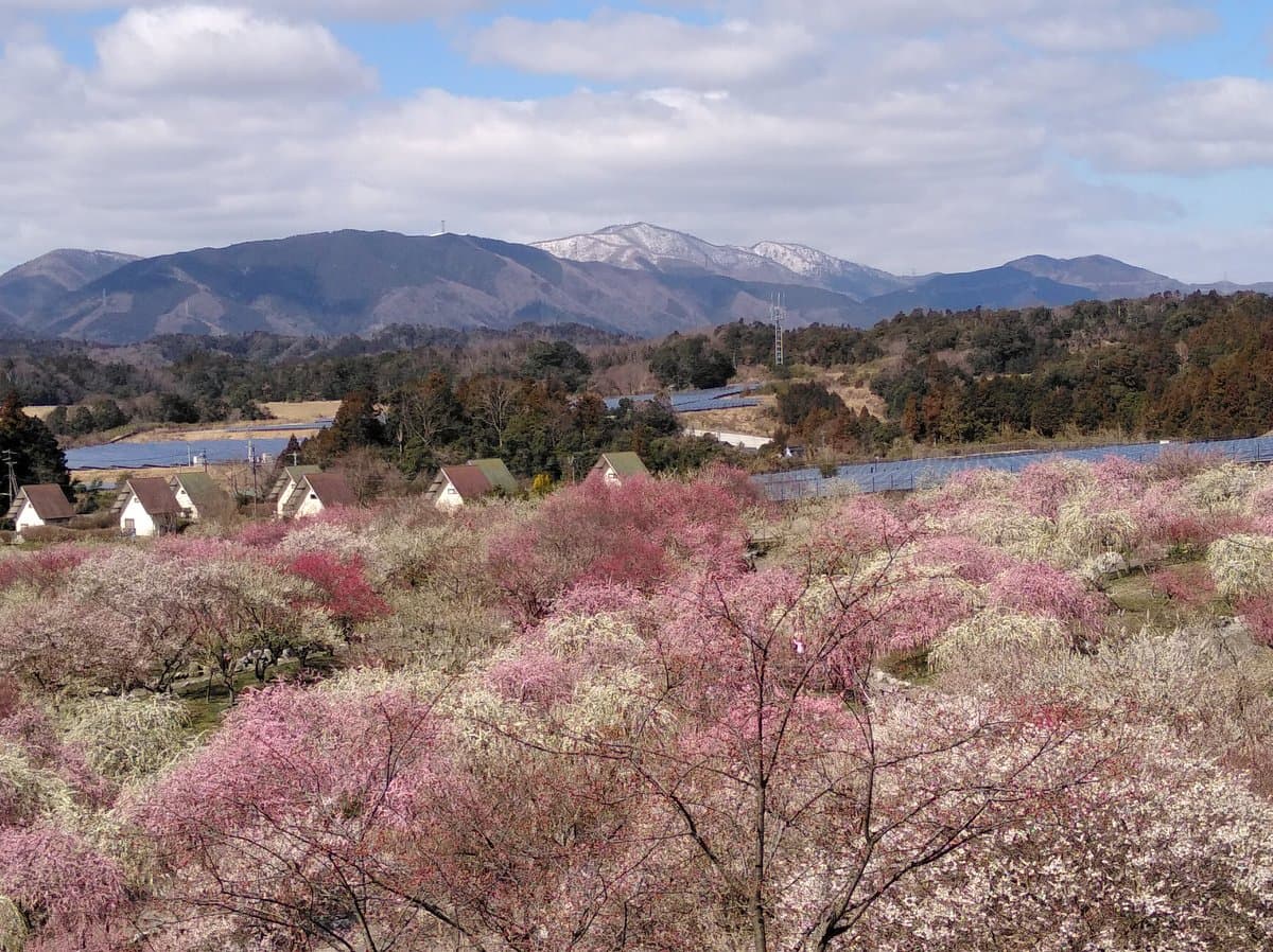 Inabe Nogyokoen