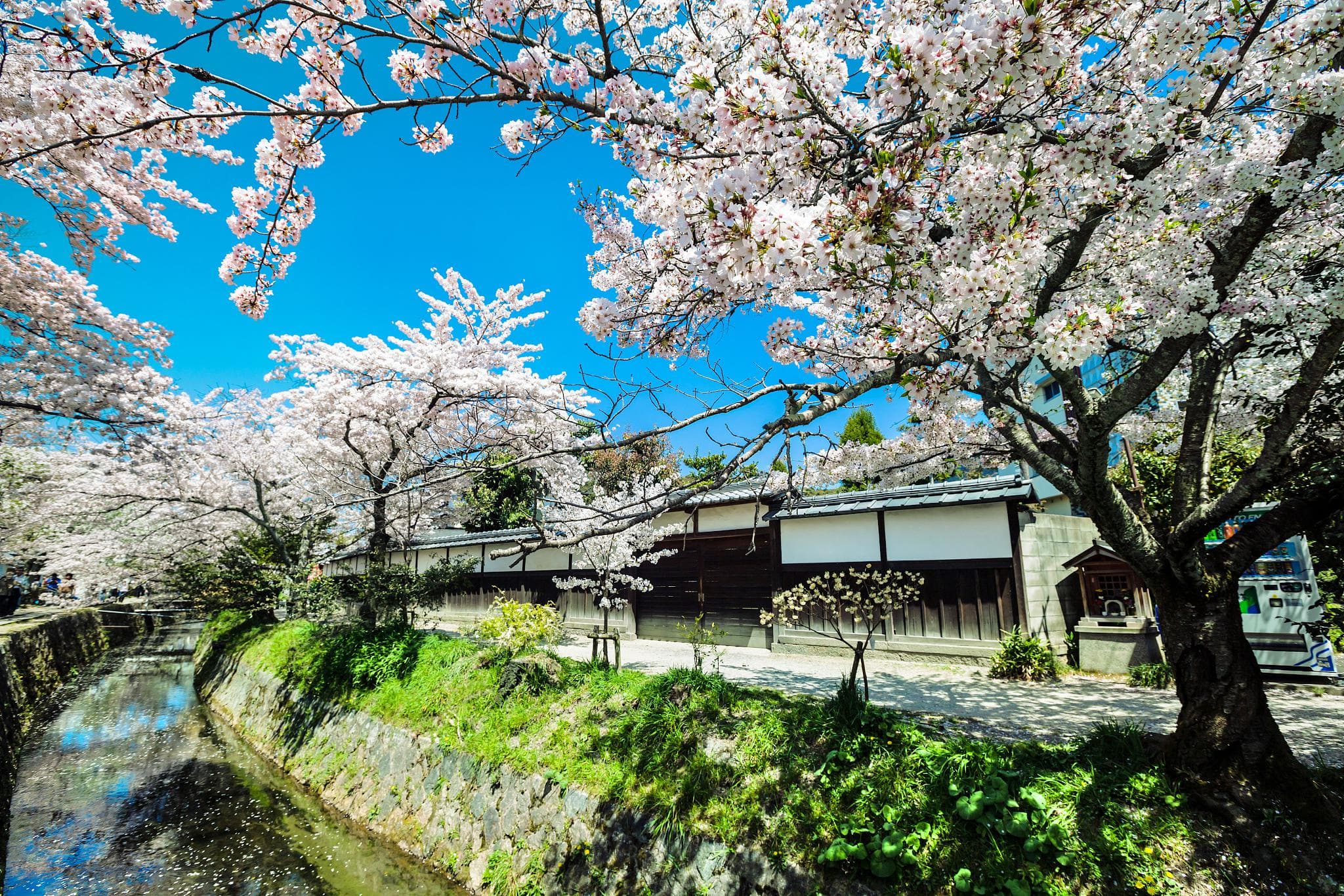 Tetsugaku No Michi