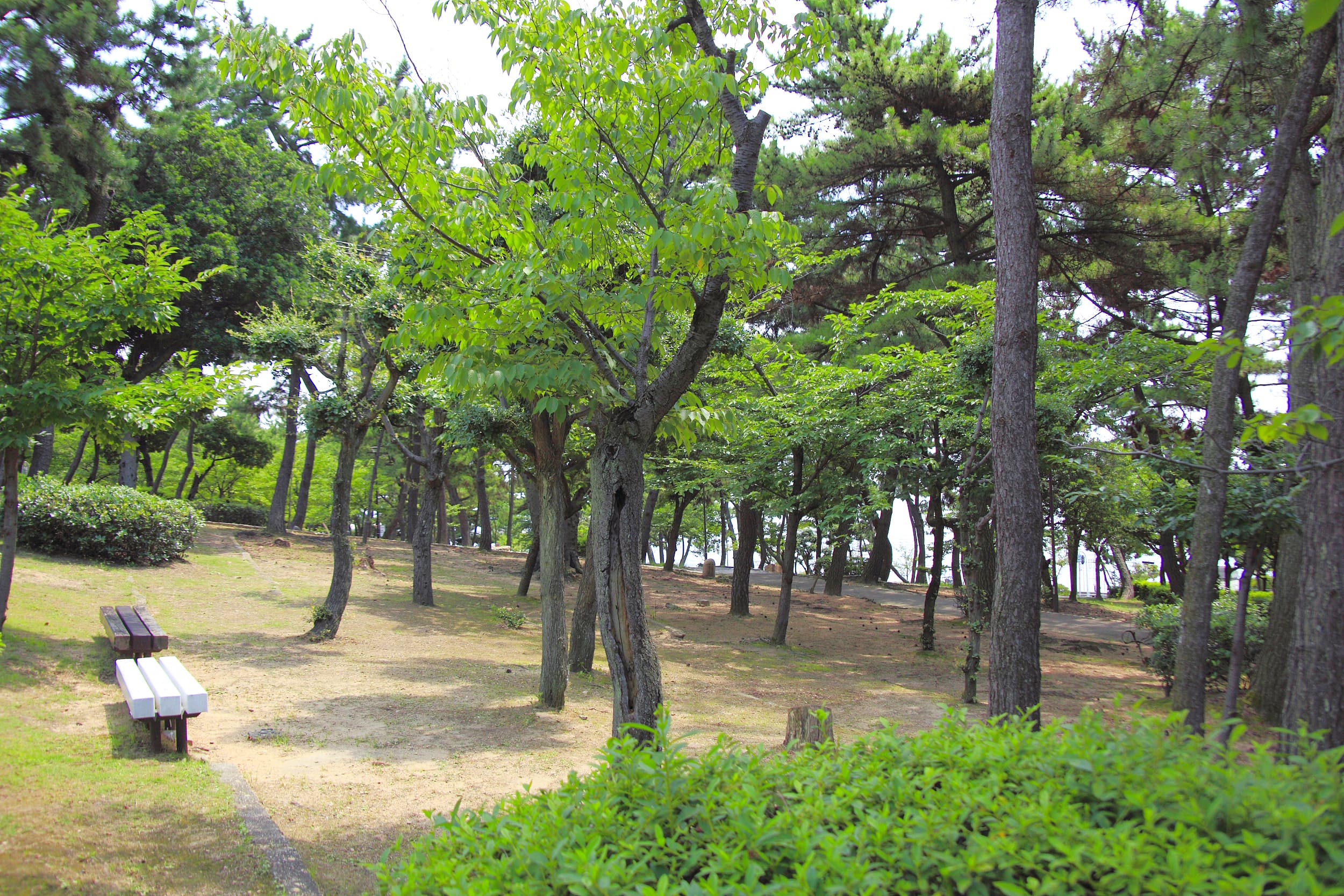 Sumaura Park