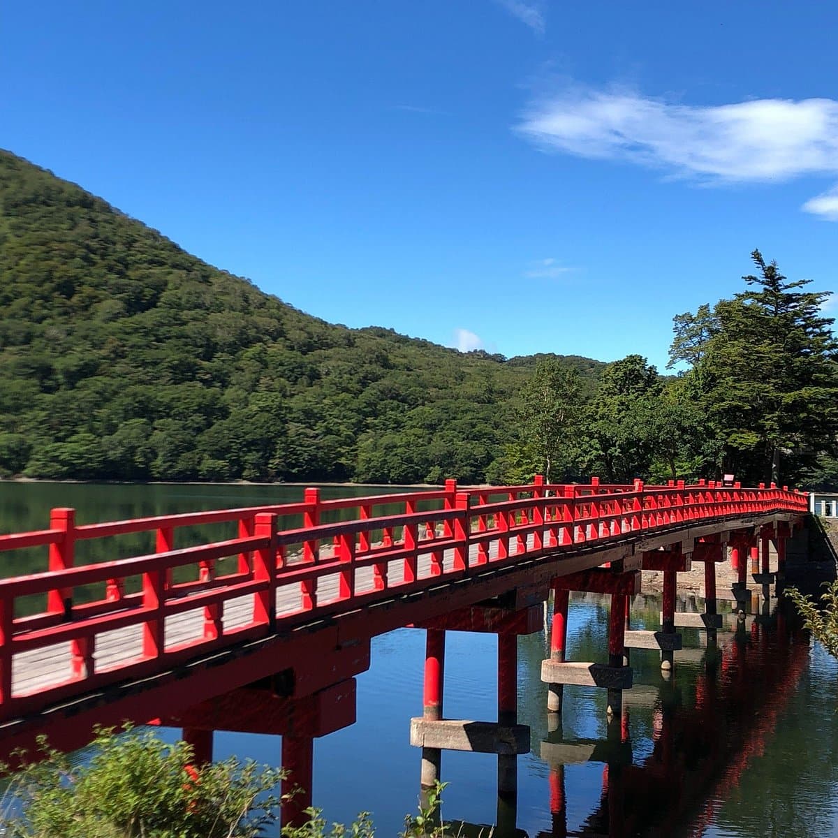 Akagi Prefectural Park cover image
