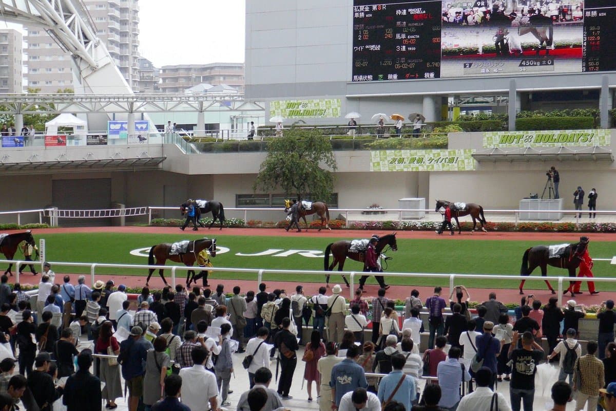 Hanshin Horse Racetrack