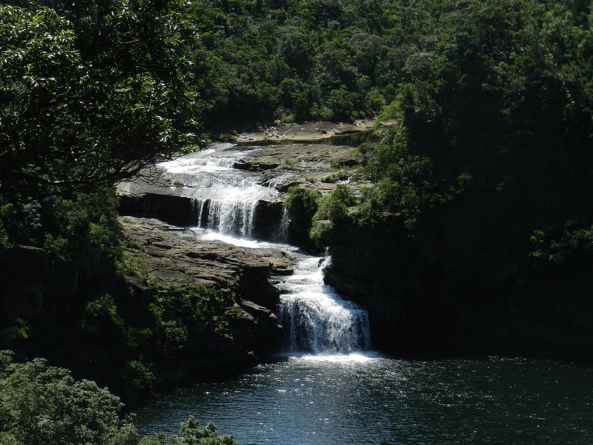 Iriomote Island