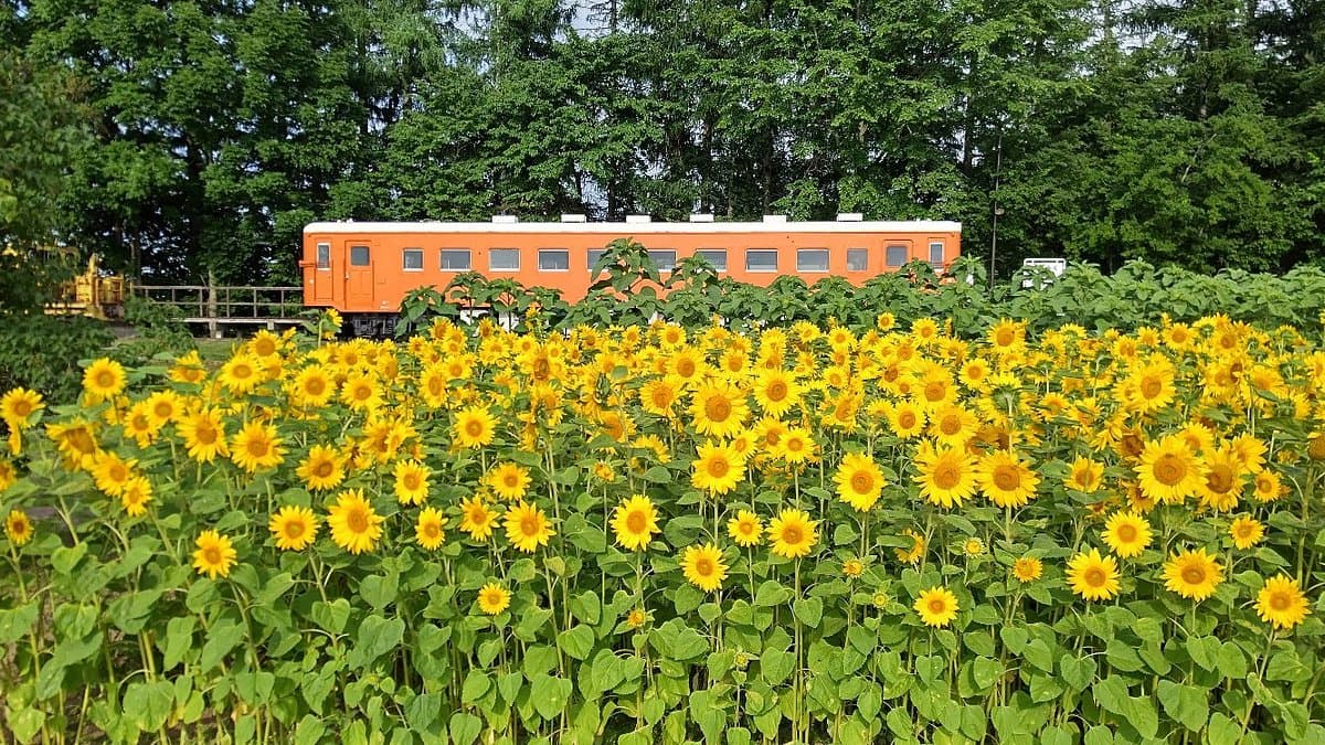 Kofuku Station