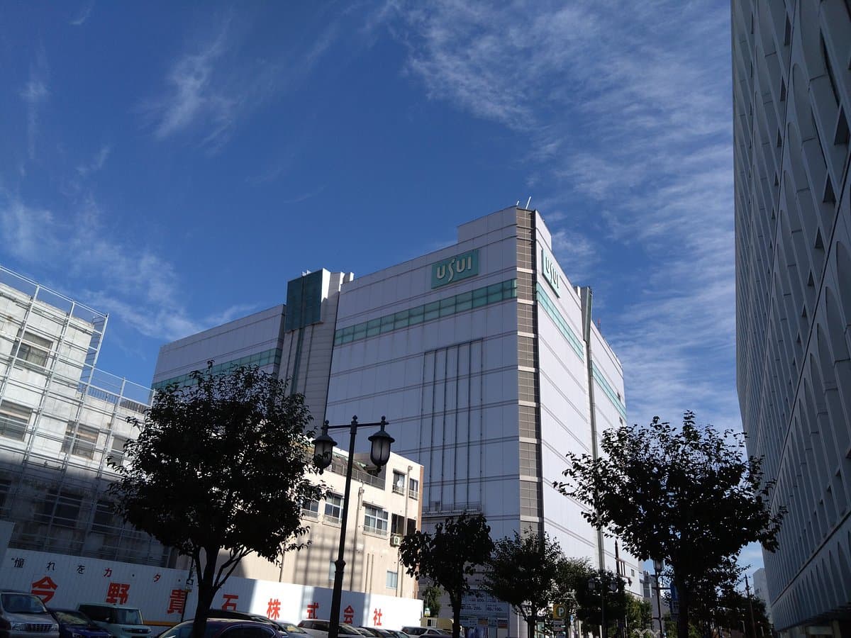 Usui Department Store cover image