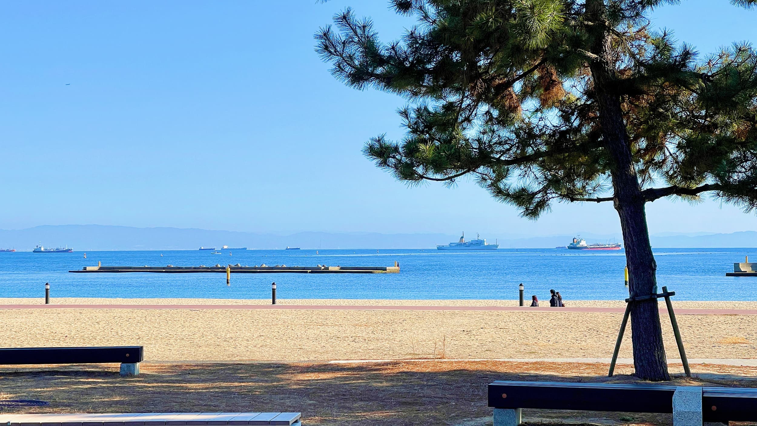 Suma Beach cover image