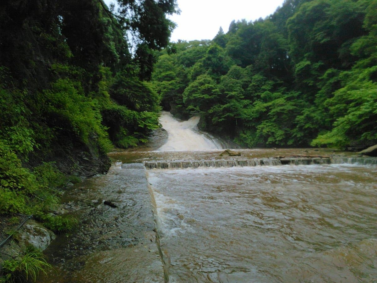 Yoro River Area