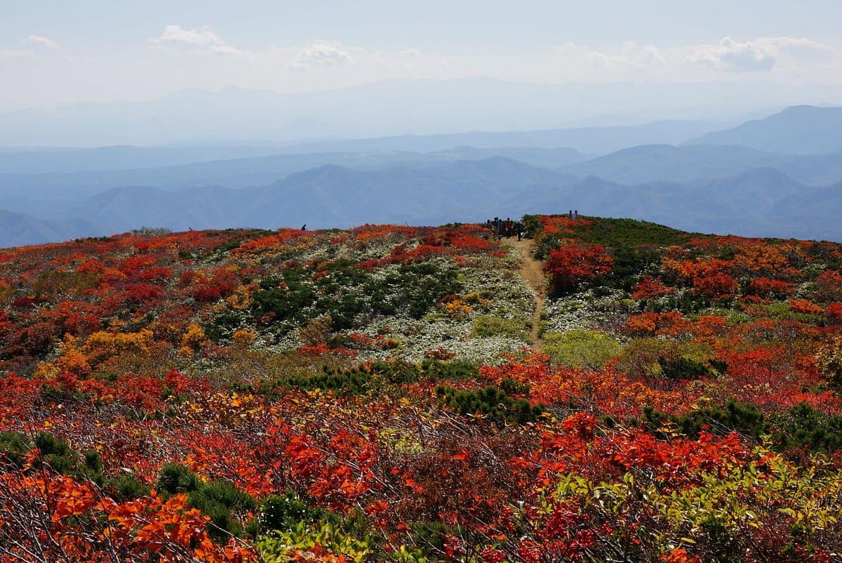 Mt. Kurikoma