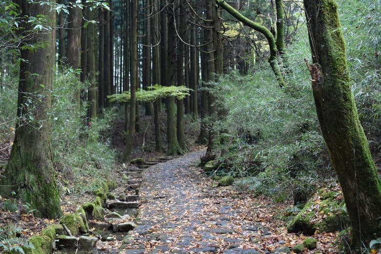 Old Tokaido Way