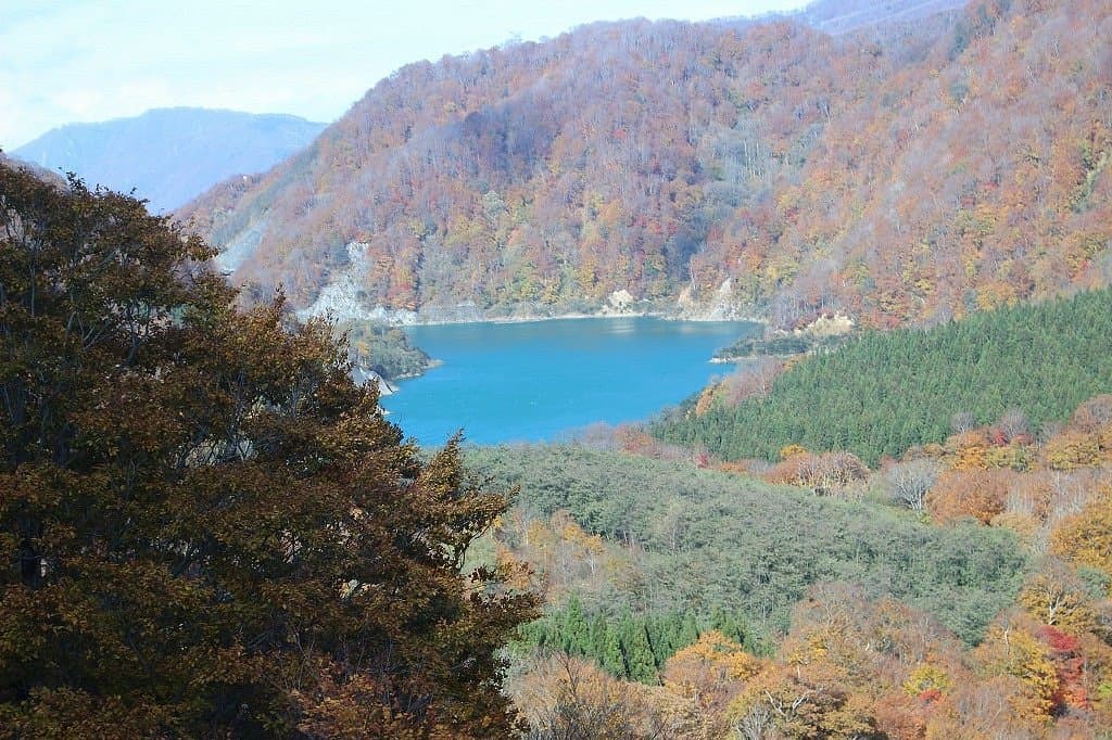 Kagura Tashiro Ski Resort cover image