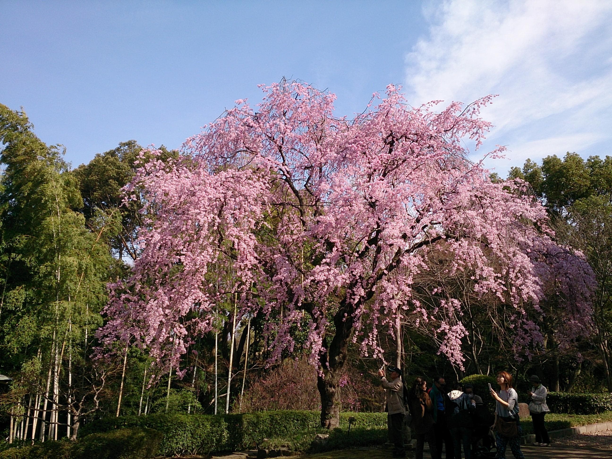 Saka River