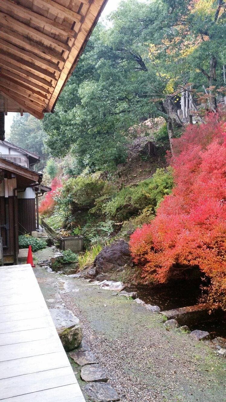 Ankokuji Temple