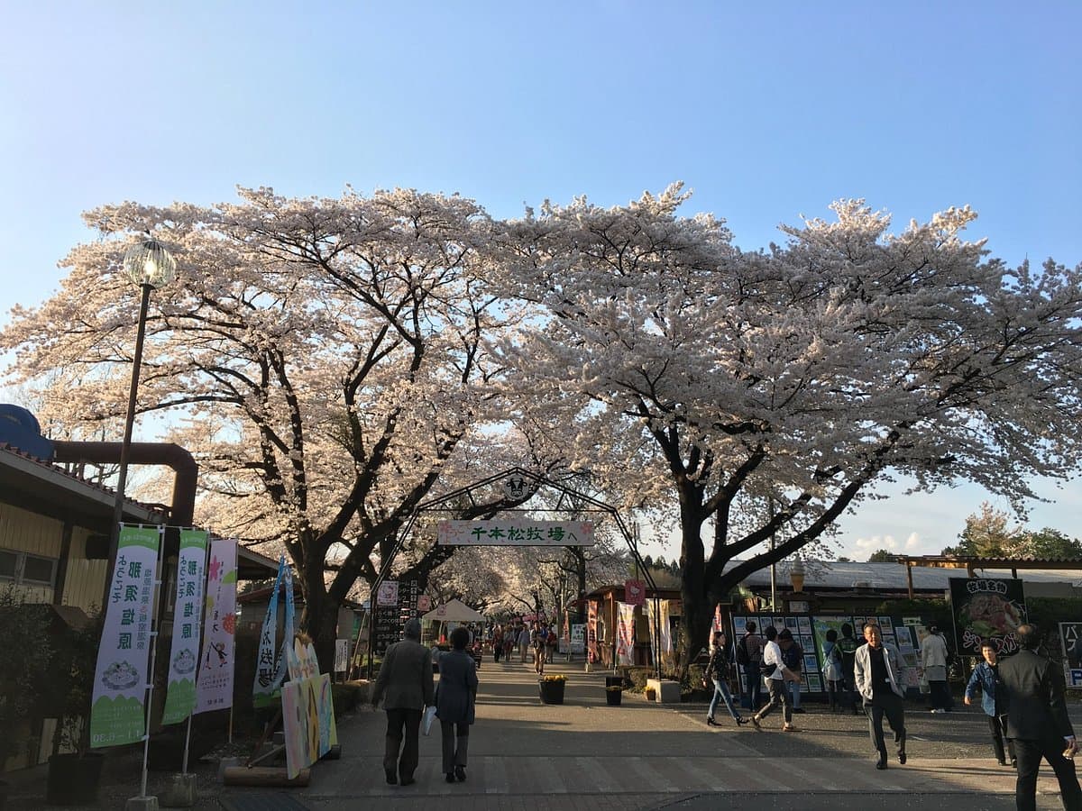 Senbonmatsu Dairy Farm
