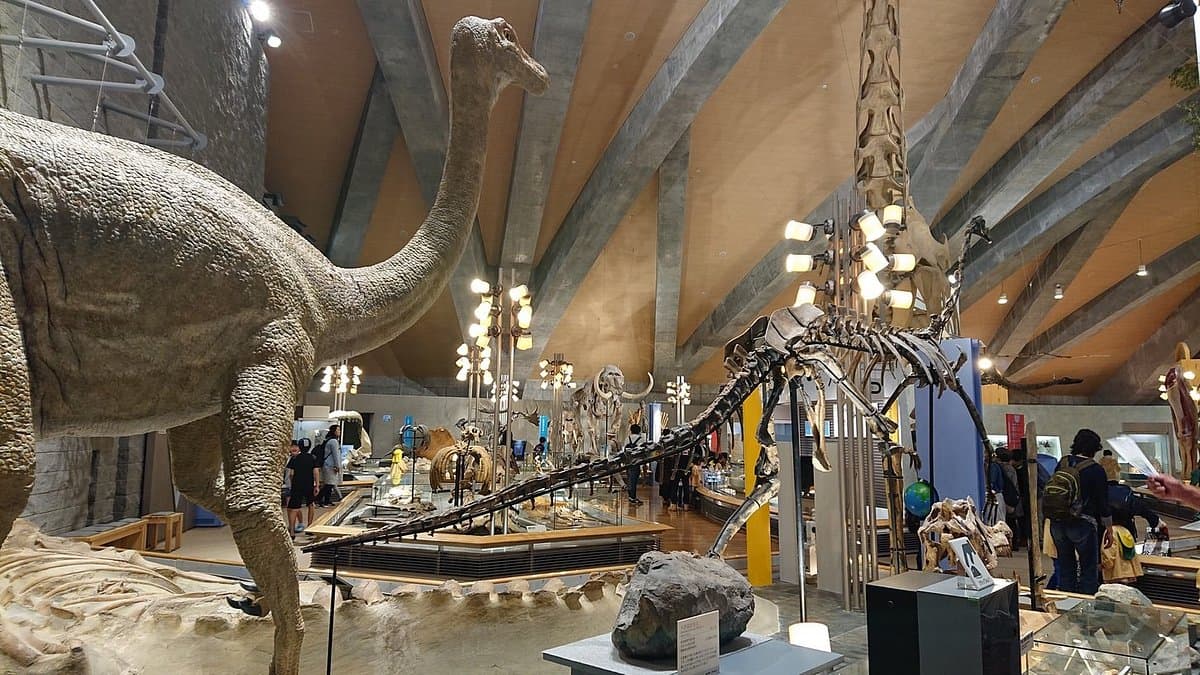 Gunma Natural Museum cover image
