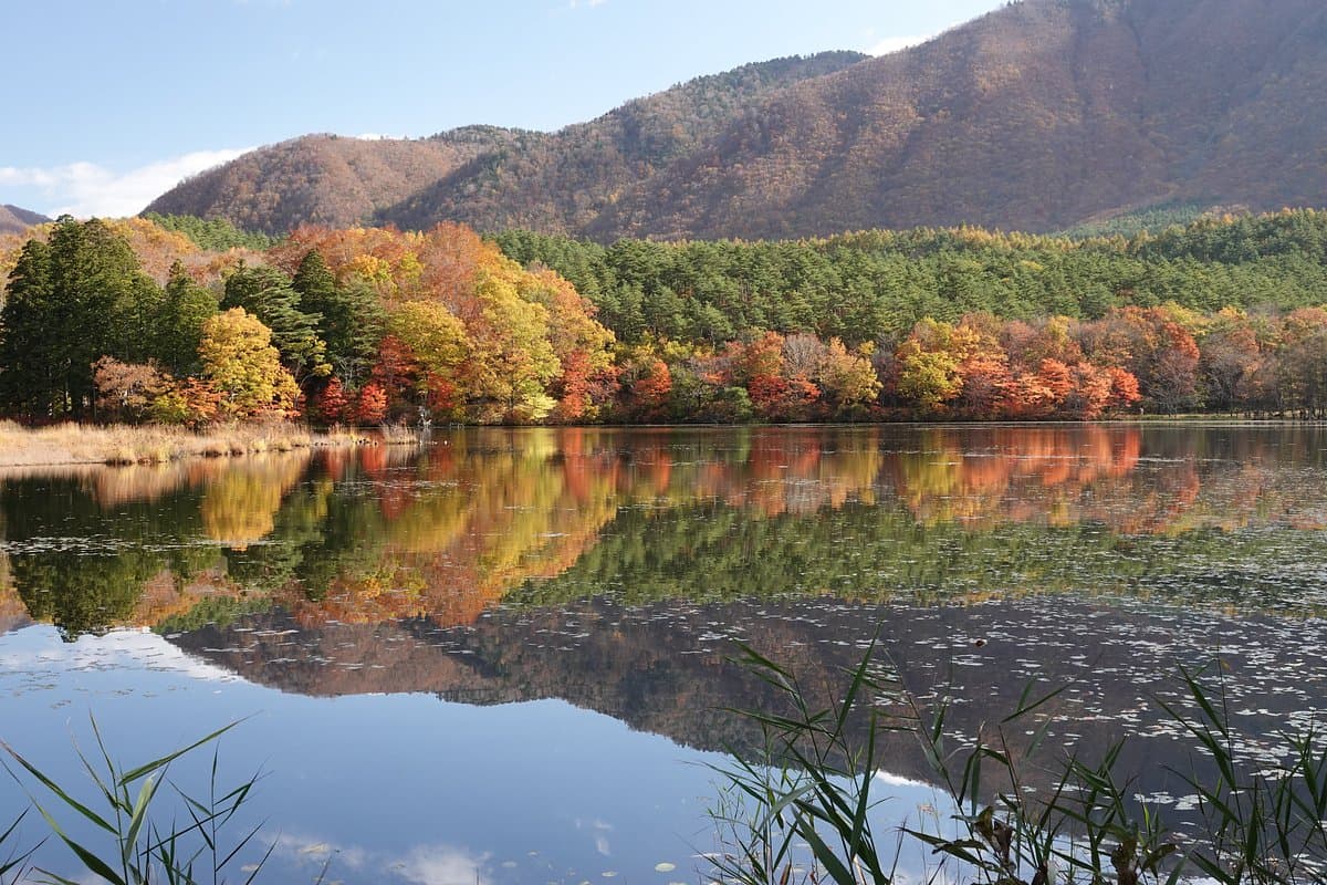 Kannonnuma Forest Park