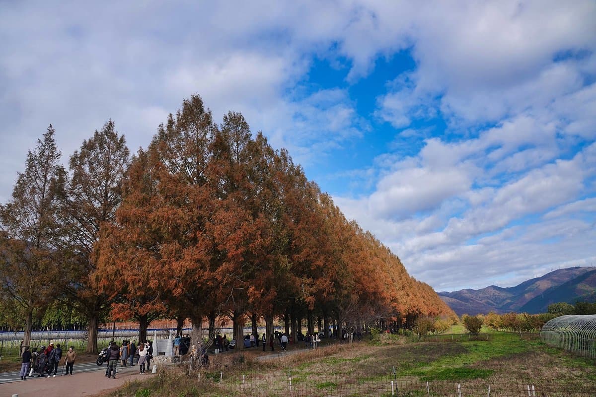 Makino Highland