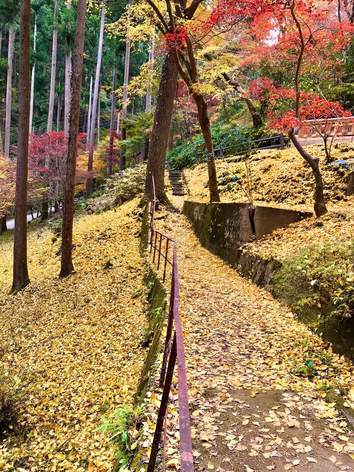 Chichibu Mitake Shrine cover image