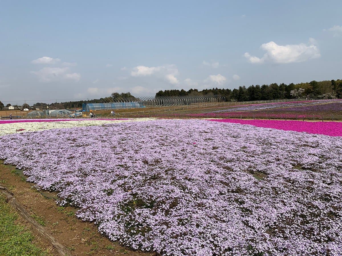 Chiba City Tomitacho Agricultural Exchange Center