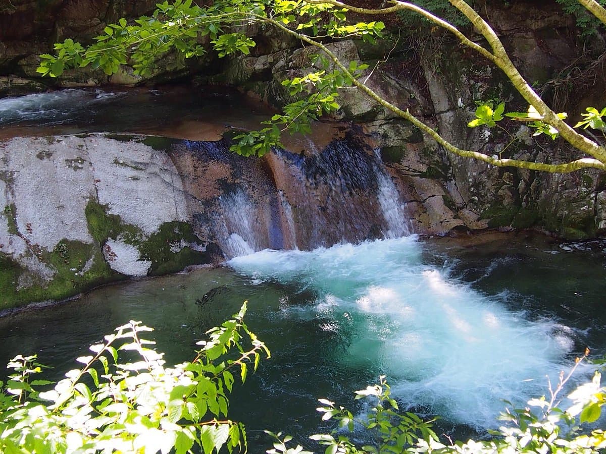 Teriha Valley cover image