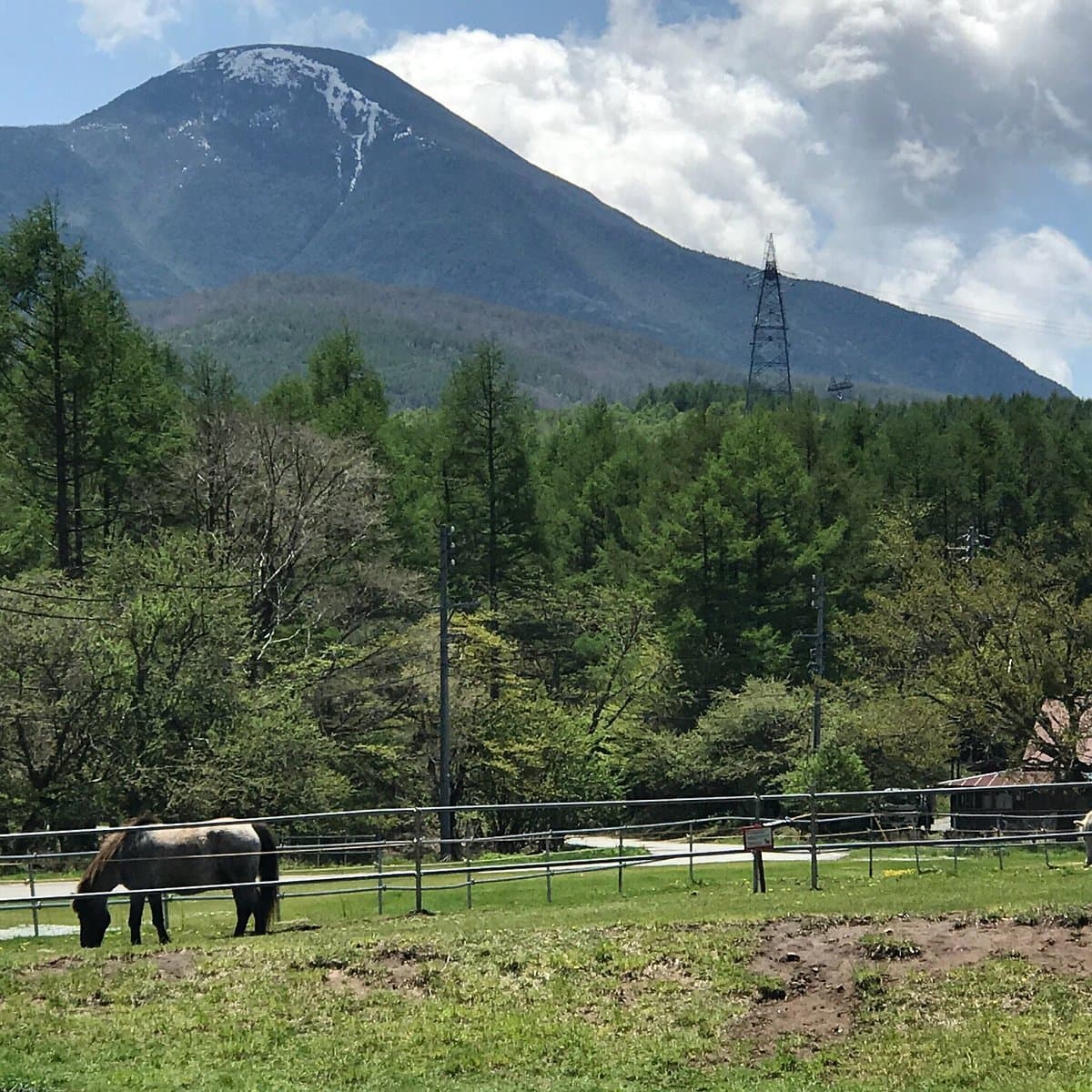 Nagato Farm