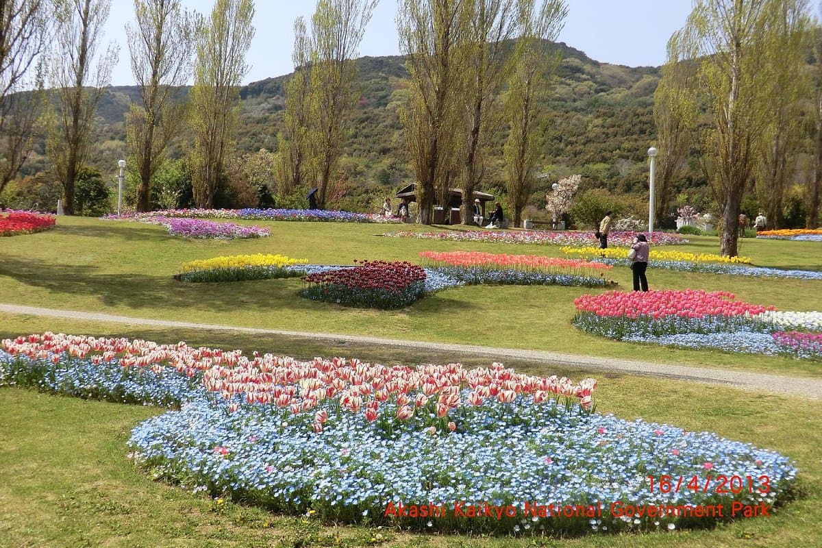 Awajishima Park