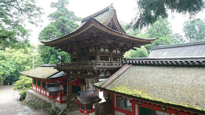 Isonokami Jingu cover image