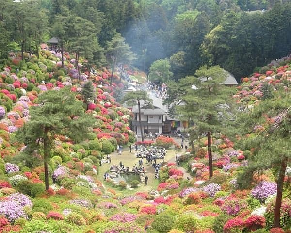 Shiofune Kannon Temple cover image