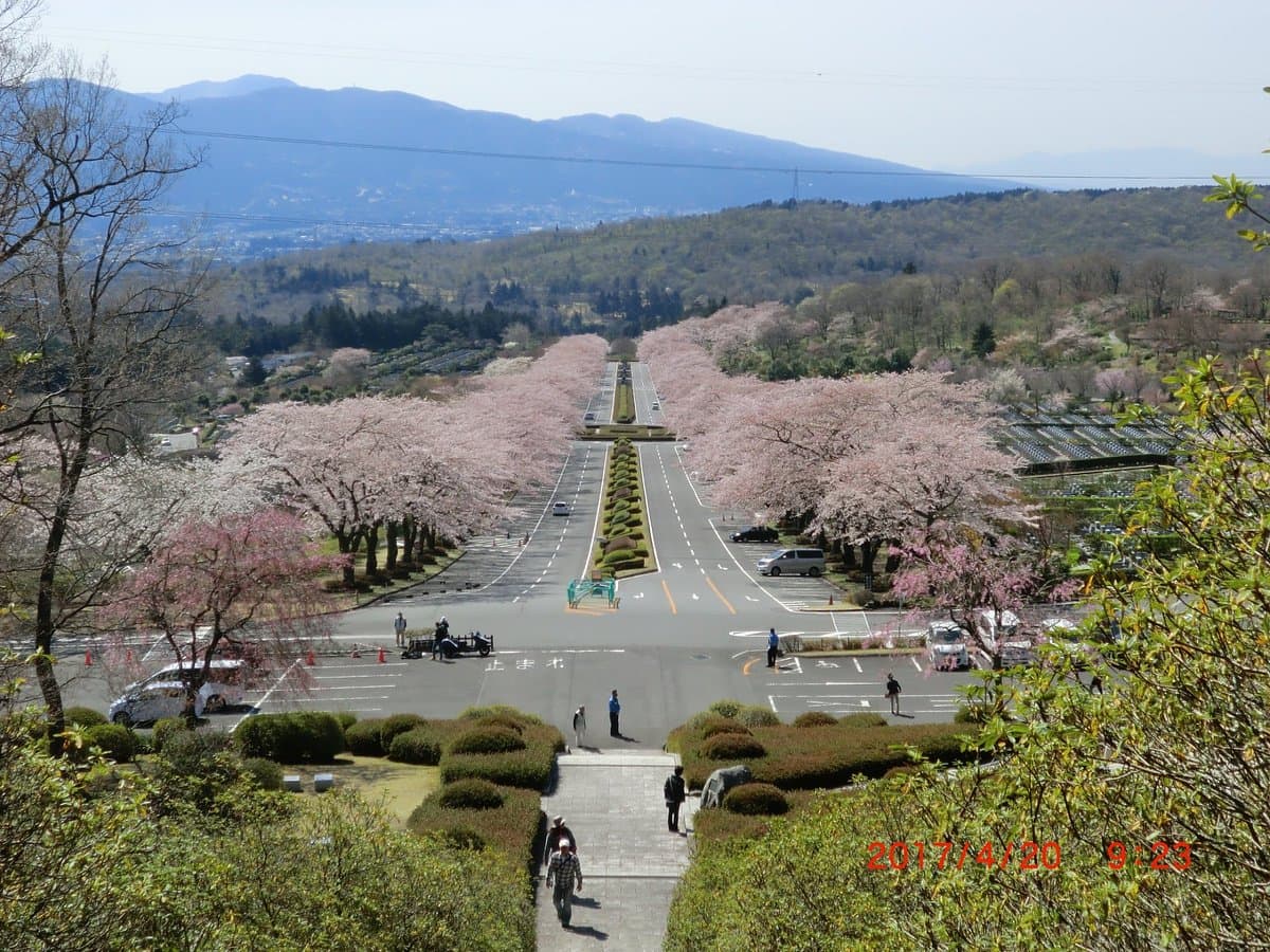 Fuji Reien Cemetry