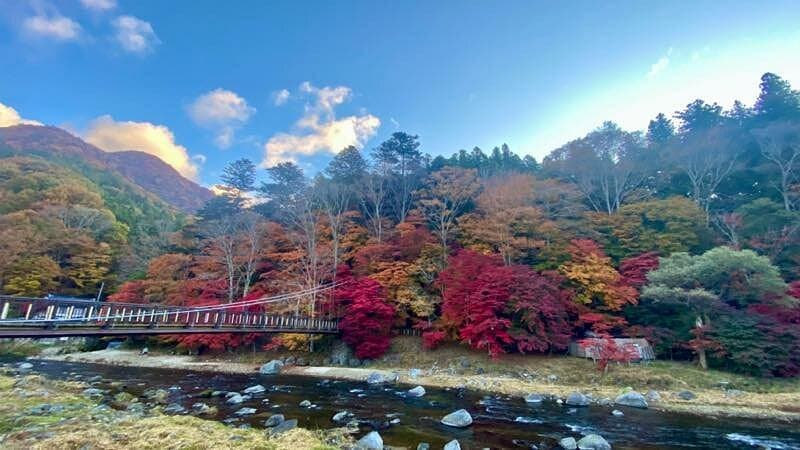 Kurenai Bridge cover image